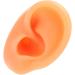 Flexible Reusable Human Ear Model for Piercing Training - Left Ear | Waterproof & Authentic - Buy Online on GoSupps.com