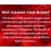 SpeedyVite Natural Blood Cleanser Organic Supplement Combo - Tea & Liquid Drops - Buy Online on GoSupps.com