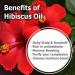 Hibiscus Sabdariffa L Essential Oil 50ML - 100% Pure Uncut Cold Pressed Premium Aromatherapy Oil - Buy Online on GoSupps.com