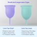 Lena Menstrual Cups | Reusable Beginner Period Cup | 12h Wear | Tampons Pads and Period Discs Alternative | Feminine Hygiene Care (Purple and Turquoise Small and Large) 2-pack Classic Purple and Turquoise - Buy Online on GoSupps.com