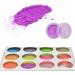 12 Colors Neon Pigment Nail Powder - Luminous Glitter for DIY Nail Art | International Shipping - Buy Online on GoSupps.com
