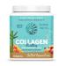 SunWarior Collagen Building Protein Peptides caramel sal sans gluten sans produits laitiers 500 g
