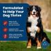 Blue Life Protection Formula Natural Dry Dog Food Adult Beef 2.7kg Small Bag Beef & Brown Rice - Buy Online on GoSupps.com
