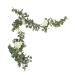 Zerodeko 3pcs Artificial Rattan Peony Garland Summer Front Door Wreath Arch Decor Fake Eucalyptus Garland Artificial Flower Eucalyptus Garland White Greenery Money Leaf Hanging Silk Flower Greenx3pcs 200X3.5CMx3pcs