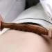 Lurrose Wooden Massage Tools Set - 4pcs Scalp & Manual Massage Roller for Back & Neck Relief - Buy Online on GoSupps.com
