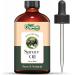 Organic Zing Spruce (Picea) Oil | Pure & Natural Essential Oil for Aroma Diffusers Hair Care & Massage - 118ml/3.99fl oz