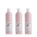Byphasse - Protective Cream for Unruly Hair - 250 ml - Pack of 3 Hair styling cream: Activ Liss'