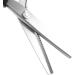 Pinking Shears  Stainless Steel Dressmaking Fabric Decorative Edge Pinking Shears Scissors Clipper Paper Craft (Zig Zag Cut 3mm) - Buy Online on GoSupps.com