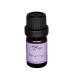 Ancient Essence Dharma Essential Oil Blend: Align with Purpose & Harmony - Pure & Natural Aromatherapy Oil for Meditation Balance - 5ml Bottle Dharma 0.16 Fl Oz (Pack of 1)