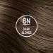 Naturtint 6N Dark Blonde Hair Color - Pack of 6 | Ammonia-Free, Vegan, Cruelty-Free | 100% Gray Coverage | Long-Lasting Results - 5.6 Fl Oz - Buy Online on GoSupps.com