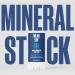Buy Mineral Sunscreen Sport Stick - Mess-Free Water-Resistant Pocket-Size | Shop Internationally - Buy Online on GoSupps.com