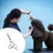 Dog Grooming Scissors Stainless Steel Pet Curved Shears Cutting Trimming Scissors with Round Tip for Grooming Dogs Cats - Buy Online on GoSupps.com