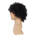 Wiwige Men's Short Curly Black Synthetic Rocker Wig for Halloween Costume - Wet Look Wig - Buy Online on GoSupps.com