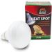 Terra Exotica 75W Heat Spot Bulb for Reptiles - 3 Pack Terrarium Lighting - Optimal Heat for Reptile Habitats - 25W 40W 60W 100W 150W Options Available - Buy Online on GoSupps.com