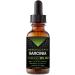 Absonutrix Garcinia Cambogia 2 Oz - 98% HCA - All Natural - 30 Day Supply - Weight Management - Made in USA - Buy Online on GoSupps.com