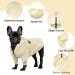 Meioro White Zipper Hood Dog Sweater - Cute & Warm Winter Pet Clothes for Dogs & Cats | Perfect for French Bulldogs & Puppies - Buy Online on GoSupps.com
