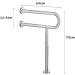 Grab Bars Handle Safety Support Hand Rails Toilet Grab Bar Anti-Slip Grab Bar Bathroom Handrail Support Handrail Safety Armrest erly Di - Buy Online on GoSupps.com