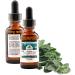PURELY WILD Dr. Cass Ingram's Extra Power Oregano Oil from Mediterranean Sources Immune Support Supplement Oil of Oregano Drops Non-GMO Wild-Harvested 432 Servings 1 fl oz