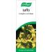 A.Vogel Luffa Complex Drops 50ml - Tropical Herb Tincture for Vegans - Buy Online on GoSupps.com