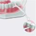 120pcs Dental Floss Portable Dental Floss Picks Tooth Stain Removal Floss Disposable Dental Floss Stick Oral Care Tool