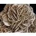 Mini Desert Rose Selenite Desert Rose Stone Crystal Selenite Desert Rose for Protection Prosperity and Purification Desert Rose Selenite Rough Stone Crystals (Small) Reiki Crystal Stone - Buy Online on GoSupps.com
