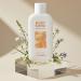 CURESHIELD Enjoy Swim Body Ampoule Lotion Free Fragrance Non-Greasy Hydrating Ampoule Moisturizer for Dry Skin Paraben Free Hypoallergenic Ceramide NP Whole Family Use 6.78 Ounce 200ml - Buy Online on GoSupps.com