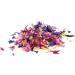 Buy Decora 0201012 Edible Flowers - Summer Colours 0.5g (Pack of 4) for International Shipping | Enhance Your Baking & Desserts - Buy Online on GoSupps.com