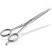 Hair scissors from Solingen hairdressing scissors with a sharp cut and one -sided micro toothing made in Germany hair cutting scissors made of stainless stainless steel for a perfect haircut (15.24 cm)