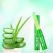 Allbestaye Aloe Vera Jelly Lipstick - Color Changing Lip Balm & Gloss | Nourishing Lip Care for All Skin Types - Buy Online on GoSupps.com