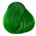 La Riche Directions Spring Green Semi-Permanent Hair Color 100 ml Jar - 2-Pack | Vibrant Green Hair Dye for International Shipping - Buy Online on GoSupps.com