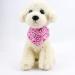 Buy Taozoey Dog Bandana Scarf - 3 PCs Triangle Neckerchief for Small & Medium Pets | Stylish Dog Accessories - Buy Online on GoSupps.com