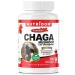 Nutridom Canadian Chaga Mushroom Capsules 500mg 100% Authentic Canadian Chaga Mushrom Extract Supplement Vegan Wild-Harvested Hand-picked Gluten Free Soy Free Dairy Free & Non-GMO (120 Veggie capsules)