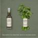 Organic Liquid Herbs Gift Box - 3 x 40ml Bottles - Buy Online on GoSupps.com