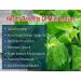 Mint Leaf Powder | Pudina Leaf Powder - 100 GM - Buy Online on GoSupps.com