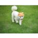 Bbeart Pet Hat - Sun Cap for Medium & Large Dogs with Ear Holes & Chin Straps | Floral Design - Baseball Style - Ideal for Outdoor Fun - Buy Online on GoSupps.com