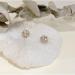 Dorina Ear Acupressure Magnetherapy Detox Earrings for Weight Loss - Silver - Buy Online on GoSupps.com