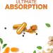 Curcumine stimule l'absorption soutient les articulations pour apaiser le syst me digestif - Buy Online on GoSupps.com