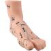 Mengmen 19 cm Foot Reflexology Model - Acupuncture Point Guide for Acupuncture Therapy | International Shipping - Buy Online on GoSupps.com