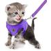 Buy Femax Soft Mesh Dog Harness & Linen Set - Adjustable Reflective Breathable for Puppies & Cats (Chest 35-40 cm) - Perfect for Walking Running & Training - Purple - Buy Online on GoSupps.com