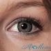 Buy Matlens Pro Trend Gray Colored Contact Lenses - Big Eyes Misty PDX-481 | 2 Lenses + Free Lens Tank & 50ml Care Product - Worldwide Shipping - Buy Online on GoSupps.com