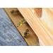 Premium Bees Pollen 1 kg - Pure Residue-Free Sweet & Mild Quality for Health | International Shipping - Buy Online on GoSupps.com