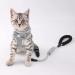 Escape Proof Cat Harness and Lead Set - Adjustable Soft Vest with Breathable Mesh and Cute Bow Design | 45 inch Leash | Gray, for Small to Medium Cats (2.5kg - 10kg) - Buy Online on GoSupps.com