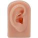 Flexible Soft Fake Human Ear Model for Earrings Display and Acupuncture Training - Dark Complexion - Buy Online on GoSupps.com