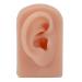 Reusable Human Ear Model - Dark Skin Color for Acupuncture & Headphone Display - Buy Online on GoSupps.com