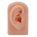 Realistic Dark Skin Silicone Human Ear Model for Acupuncture Training - Reusable & Flexible Right Ear Display - Buy Online on GoSupps.com