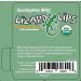 Lizard Lips USDA Certified Organic - 4 Flavor Variety Pack | Natural Lip Balm Sampler - Buy Online on GoSupps.com
