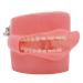 Dental Soft Gum Standad Typodont Study Model with 28pcs Removable Teeth (With Simulates Cheeks)