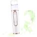 WOONEKY Face Sprayer Nano Mist Sprayer Facial Mist Nano Mist Cooler Humidifier Hydrating Instrument Portable - Buy Online on GoSupps.com