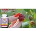 Zest Galaxy Plus Raspberry Green Coffee Bean Garcinia Cambogia Caffeine Green Tea - 60 Vegetable Capsules - USA Made 60 Count - Buy Online on GoSupps.com