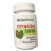Ninho Verde ESPINHEIRA Santa 500Mg (60 Capsules) Plant Based Vitamin- Net Quantity: 1.06 oz